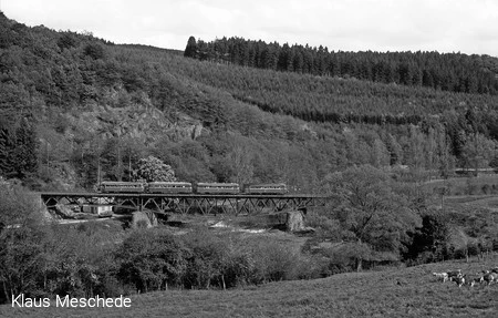 Ein Triebwagen-Sonderzug auf der Fischbauchträgerbrücke am 2. Juni 1984