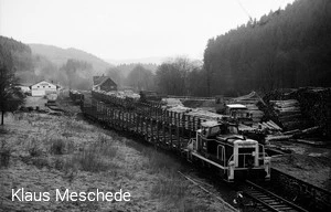 Im April 1989 rangiert die Diesellok 360 583-9 G&uuml;terwagen für die Holzverladung im Bahnhof