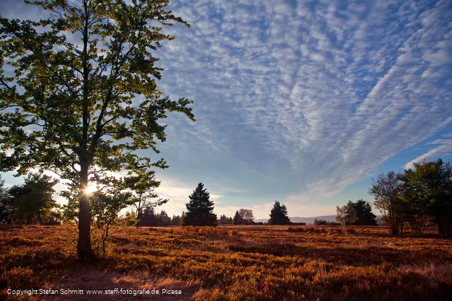 ferienwelt-wintebrerg_2015_niedersfeld_hochheide-goldener-pfad-landschaft-heide_herbst-5