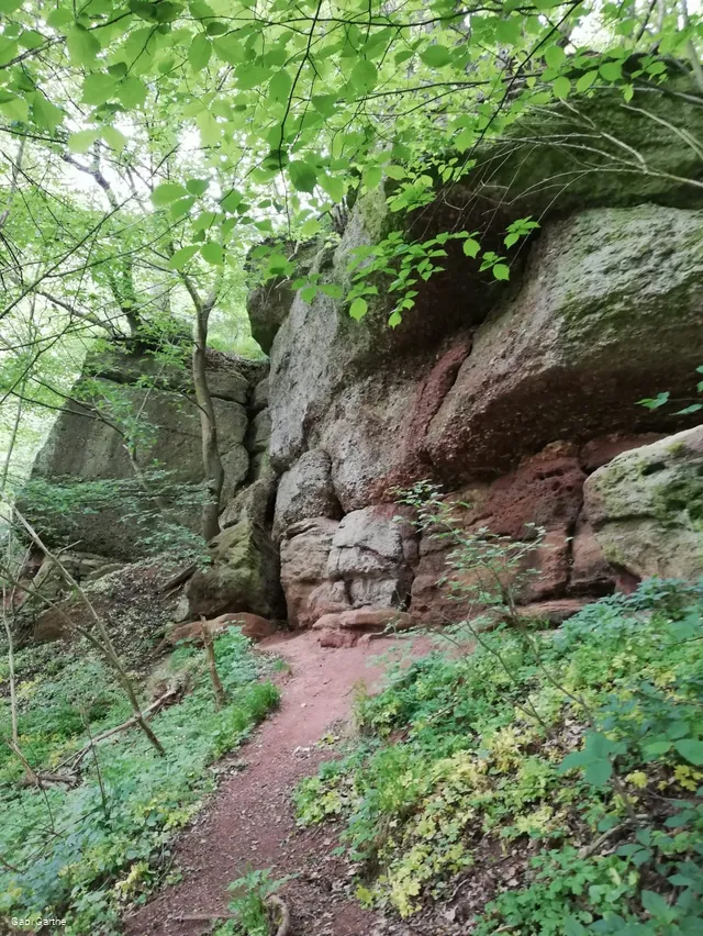 Ederstede bei Birkenbringhausen - Geotop des Jahres 2020