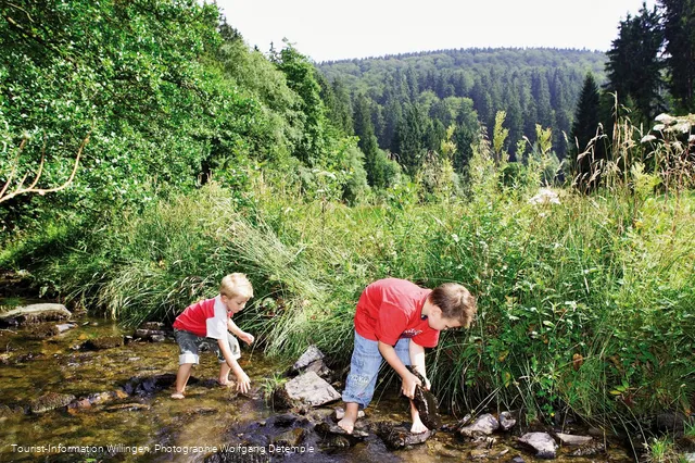 kinder-im-bach c) tourist-information-willingen.jpg