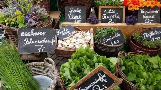 Marktstände unterschiedlichster Art warten auf die