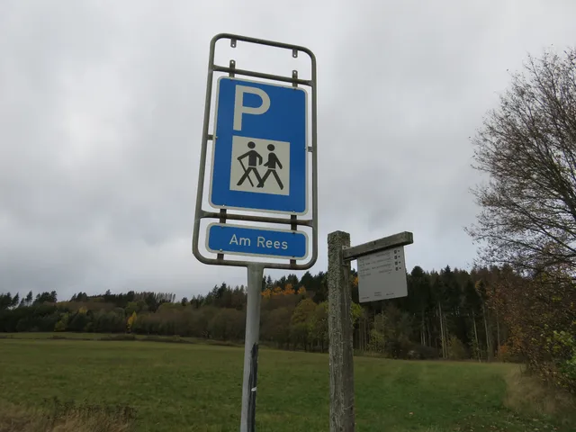 Parkplatz Am Rees-Hallenberg.JPG