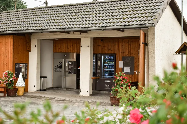 Bilder_bearbeitet_04-1.jpg