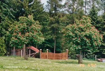 Arboretum Essenthoer Mühle