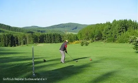 Golfclub Repetal