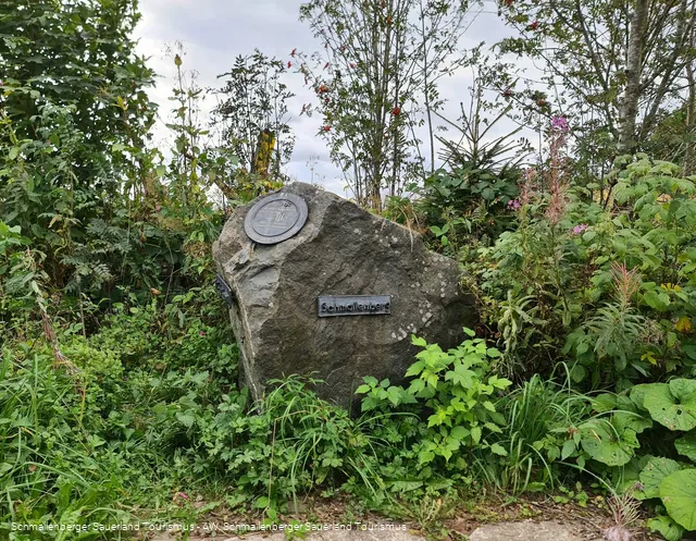 2658008