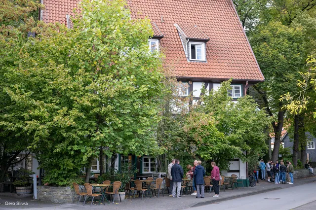 20240927_Zwiebel2.jpg