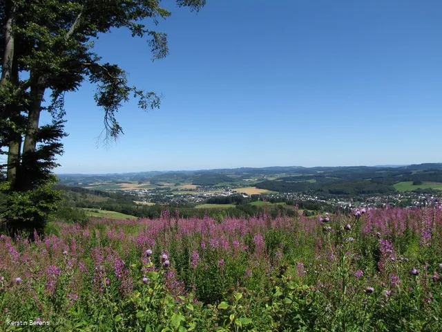 Blick auf Neuenrade