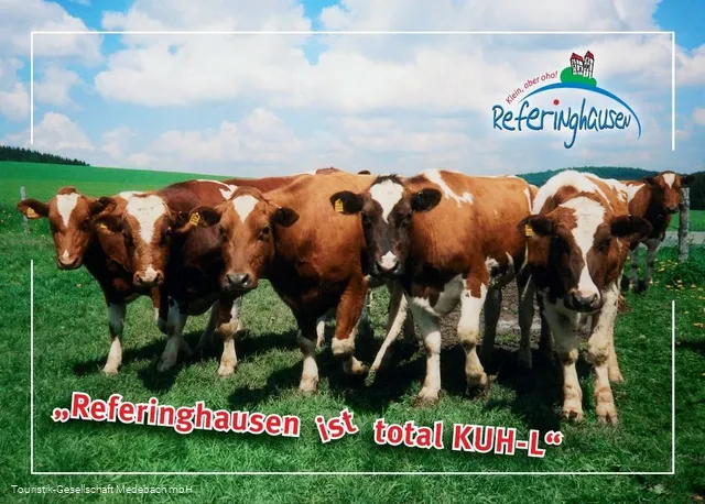 Milchweg Referinghausen