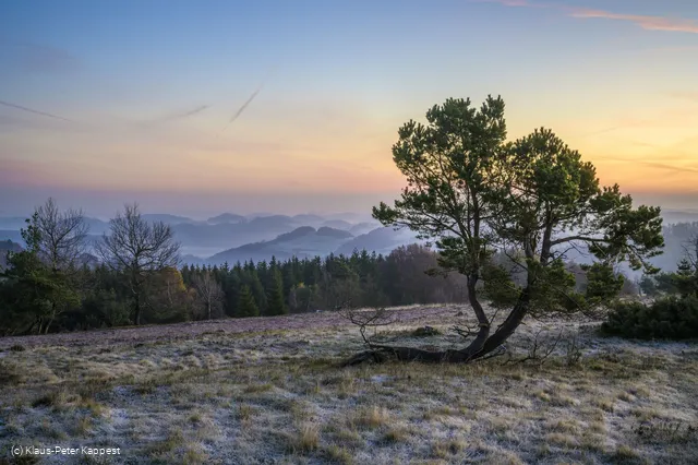 osterkopf-vor-sonnenaufgang_c__klaus-peter-kappest-sauerland-wanderdoerfer.jpg
