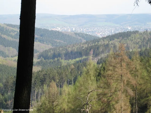 Blick auf Arnsberg