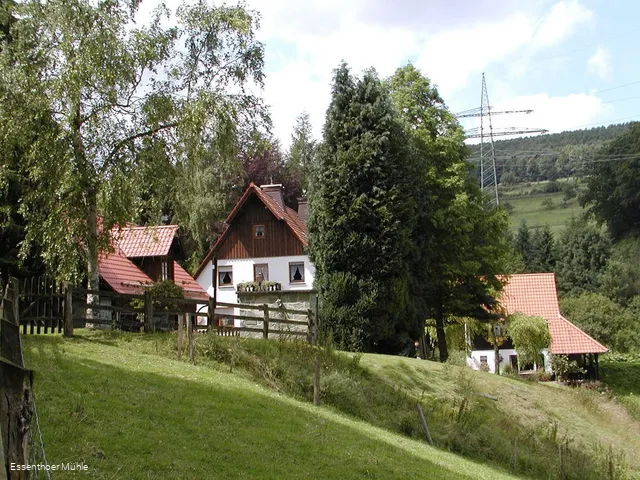 Vogelpflegestation für Greifvögel und Eulen