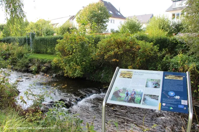 Infotafel 10 am Gewässerpfad Orke