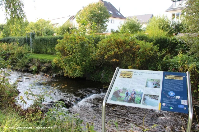 Infotafel 10 am Gewässerpfad Orke