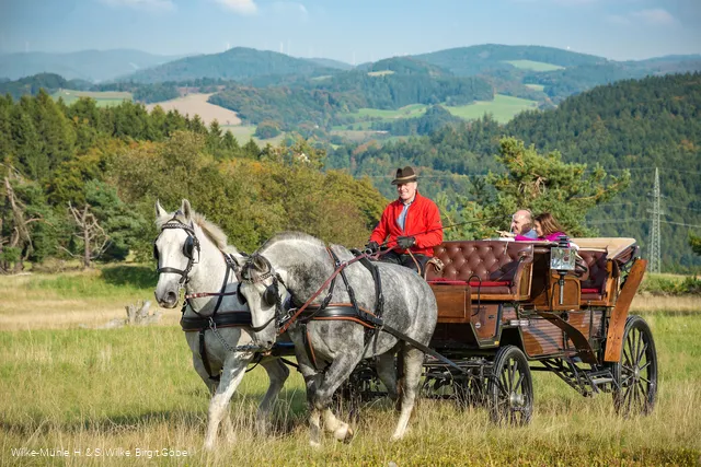 Picknickkutsche-004.JPG