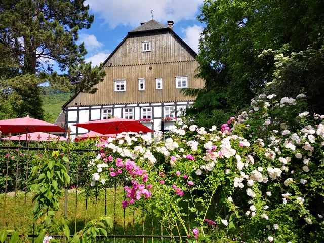 Blick auf Cafe.jpg