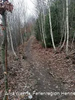 Weg den Küppel hinauf, Freienohl, F2, F3
