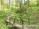 Die Orkequelle in Küstelberg