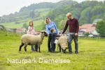 Familie mit Schafen auf dem Familienbauernhof Fass