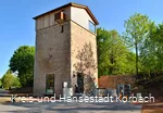 Die Korbacher Spalte - Fossilienfundstätte / Geofoyer Kalkturm Korbach