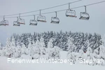 Winter_2023_Postwiese_Neuastenberg_stephanpetersdesign.de-16.jpeg