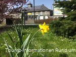 Frühling am Bahnhof in Bestwig