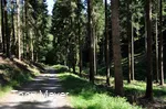 Naturschutzgebiet Bommecketal