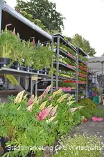 Wochenmarkt Marsberg