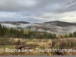 Nebel über dem Wald bei Rattlar
