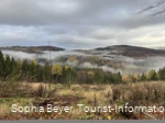 Nebel über dem Wald bei Rattlar