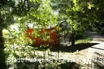 Im Park