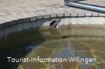 kneippanlage-schwalefeld4 c) tourist-information-willingen.jpg