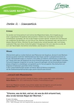 Infotafel Station 5c