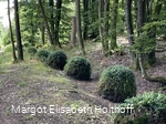 Mooskugeln.jpg
