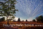 ferienwelt-wintebrerg_2015_niedersfeld_hochheide-goldener-pfad-landschaft-heide_herbst-5