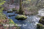 Die wilde Ennepe im Naturschutzgebiet