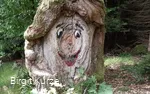 Waldbaden Kierspe Birgit Kurze
