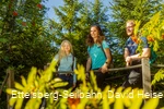 kyrillpfad c) ettelsberg-seilbahn-david-heise.jpg