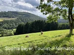 Wiesenlandschaft am H2 in Hemmighausen