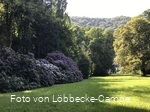 Park