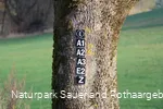 Viele Wanderwege führen am Wanderparkplatz entlang