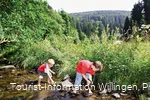 kinder-im-bach c) tourist-information-willingen.jpg