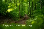 Auf dem Eichhörnchenpfad bzw. auf dem Weg zum Baumkronenweg