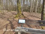 Die Bank im Buchenwald auf dem Silberg