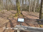 Die Bank im Buchenwald auf dem Silberg