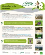 Infotafel Station 4 Waldfeenpfad