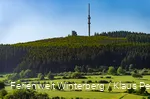 Bollerbergturm und Fernmeldeturm auf einem bewaldeten Berg.