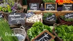 Marktstände unterschiedlichster Art warten auf die