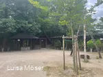 Bräukelken